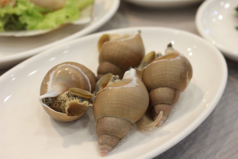 막강했던 강원도 고성 맛집 공유