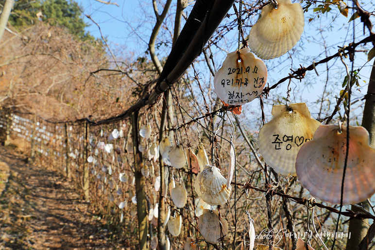 전북여행 부안 변산 마실길 따라 고사포해수욕장 변산반도국립공원