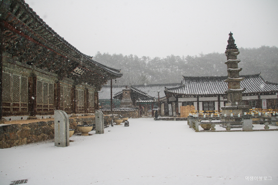 충남 공주 가볼만한곳 관광택시 타고 공산성·마곡사·국립공주박물관