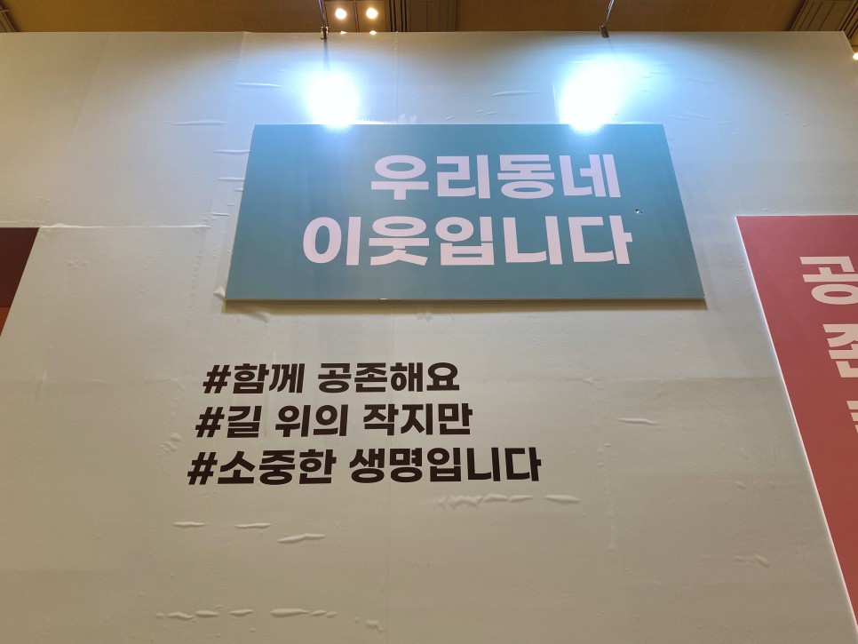 2022년 케이캣페어 서울 코엑스 D홀 관람 후기 / 캣휠, 캣방 종이방석, 이노 작가