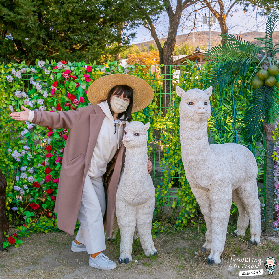 강릉 여행 코스 안목해변 카페거리 아르떼뮤지엄 강릉 등