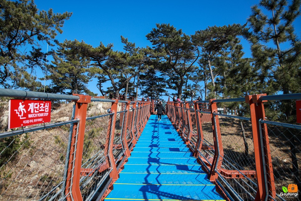 울산 관광지 명소 울산 대왕암공원 출렁다리 데이트코스