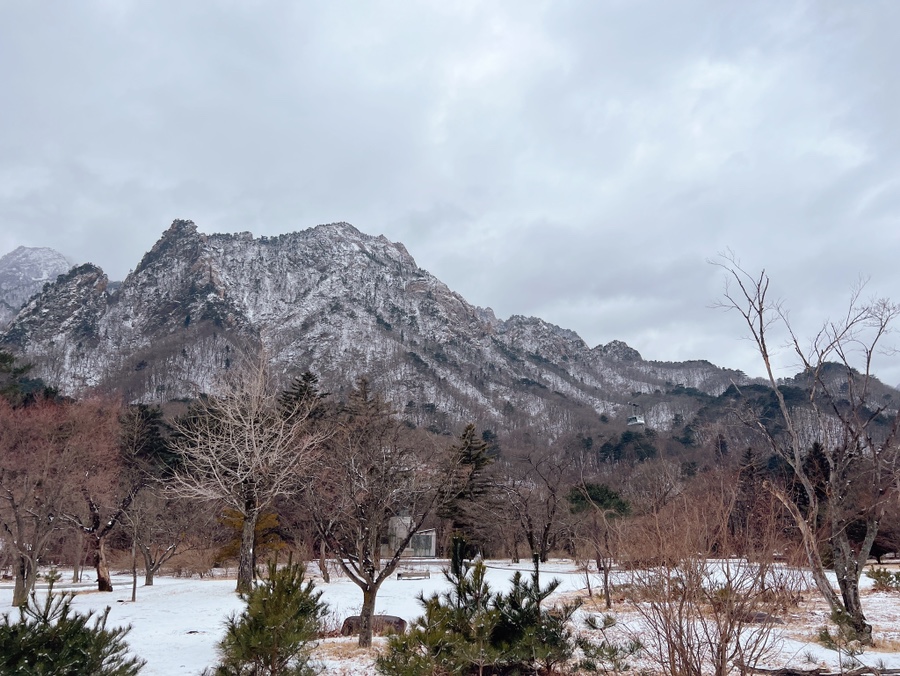 속초 가볼만한곳 설악산 권금성, 커피고 카페, 짬뽕순두부