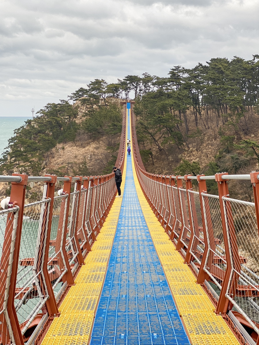 울산 여행코스 실시간 : 대왕암 공원 출렁다리, 슬도, 주전 몽돌 해변, 태화강 국가정원 십리대숲