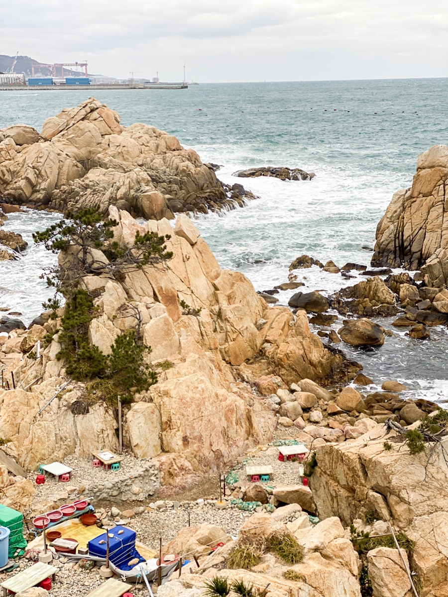 울산 여행코스 실시간 : 대왕암 공원 출렁다리, 슬도, 주전 몽돌 해변, 태화강 국가정원 십리대숲