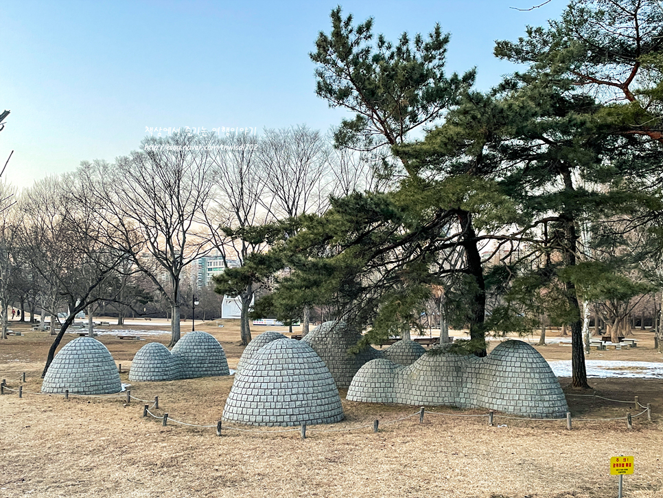 서울 가볼만한곳 겨울 올림픽공원 나홀로나무 사진찍기 좋은곳