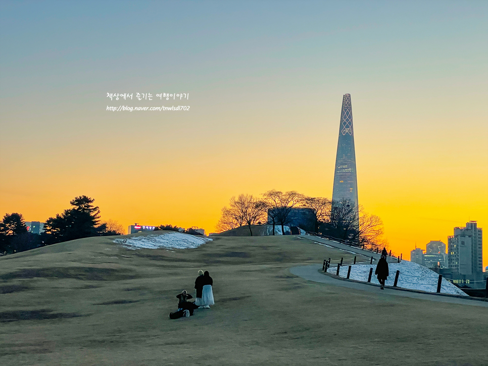 서울 가볼만한곳 겨울 올림픽공원 나홀로나무 사진찍기 좋은곳