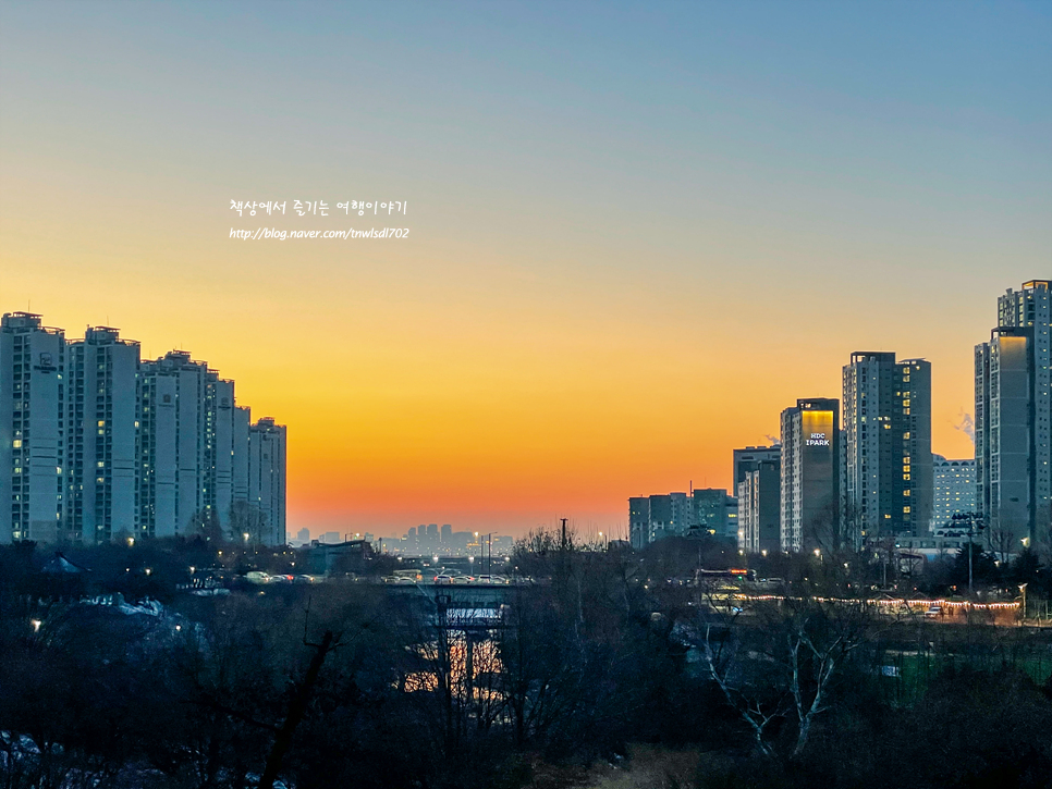 서울 가볼만한곳 겨울 올림픽공원 나홀로나무 사진찍기 좋은곳