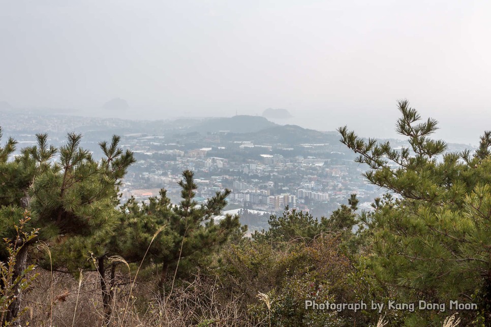 제주 서귀포 가볼만한곳 국내 힐링여행 숨은 명소 제주도 올레길 7코스 오름 추천 고근산