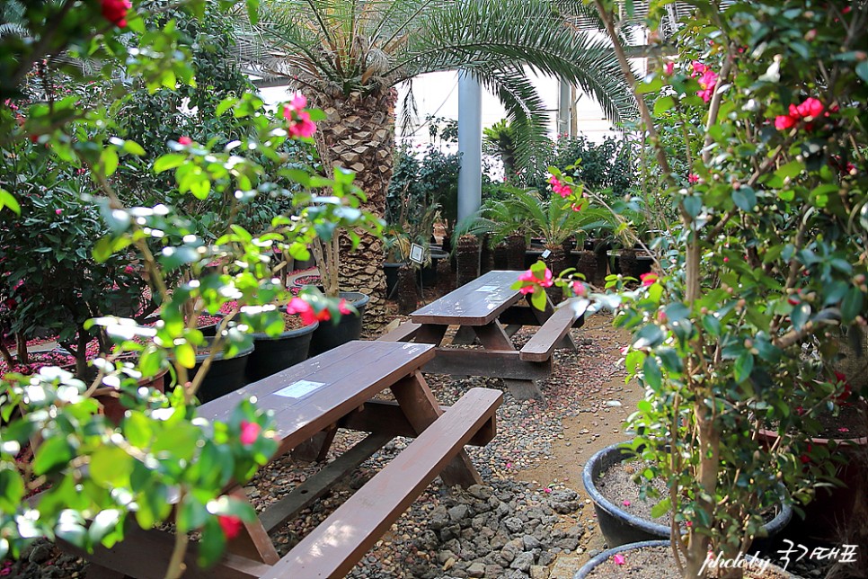 경기도 화성 야자수마을 식물원 카페