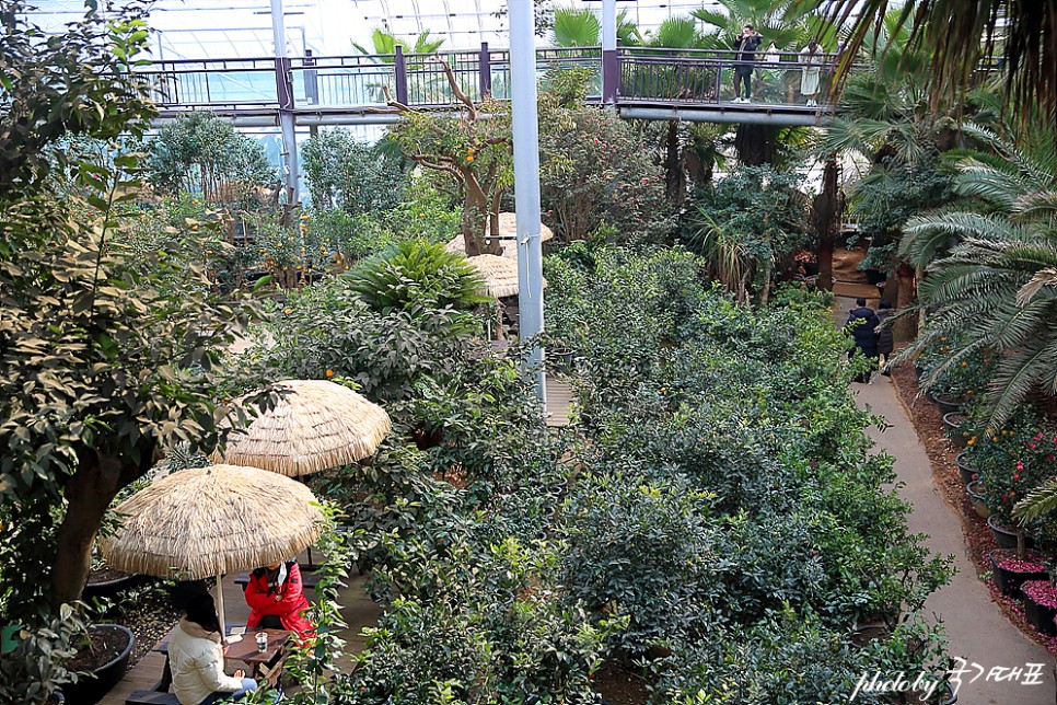경기도 화성 야자수마을 식물원 카페