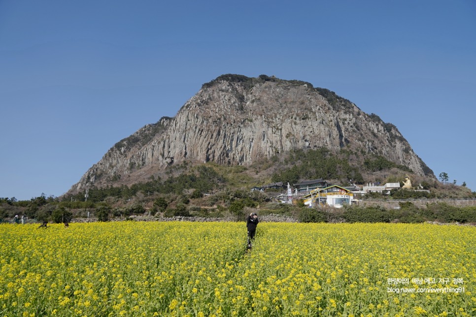 제주 택시투어로 갈만한곳 관광지 베스트 5