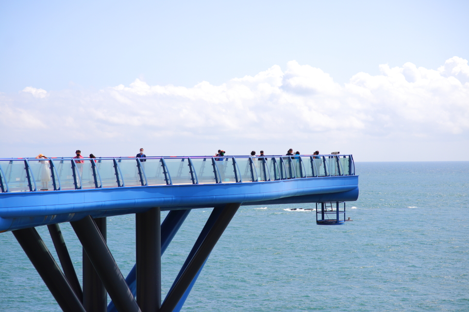 부산 가볼만한곳 해운대 블루라인파크 해변열차 스카이캡슐 즐기기