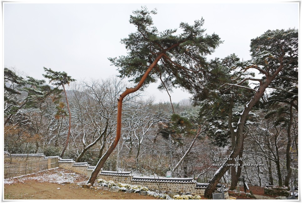 대전 근교 가볼만한곳 공주 갑사,무령왕릉,송산리고분군,공산성