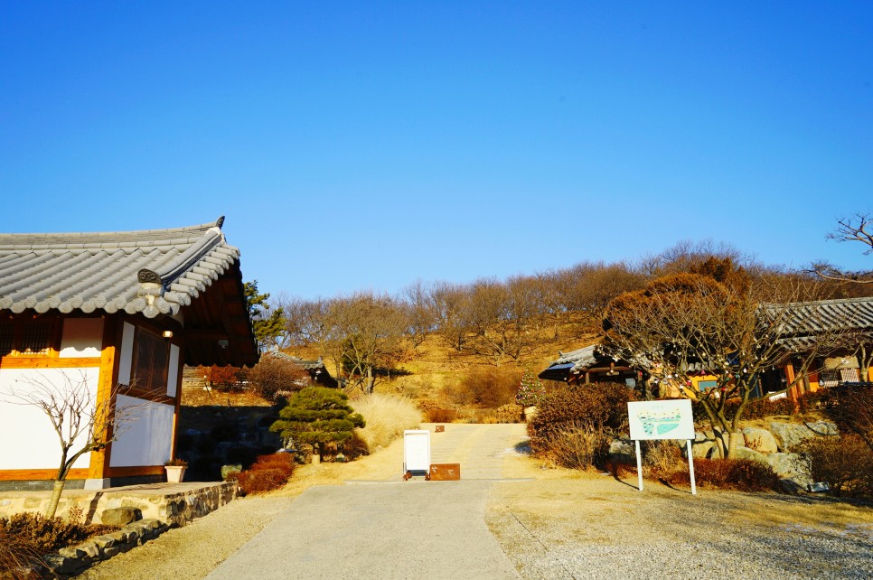 충북 한옥 스테이 충주 감성 숙소 예쁜 한옥 펜션 & 서유숙 카페