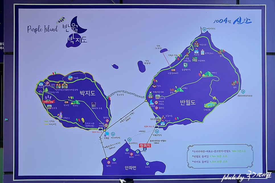 신안 가볼만한곳 전남 신안 퍼플섬 박지도 퍼플교 천사섬