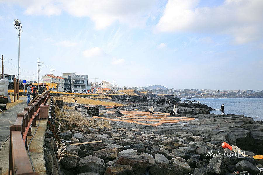 제주 애월 가볼만한곳 제주도 아르떼뮤지엄 실내데이트 추천 애월 바다 외