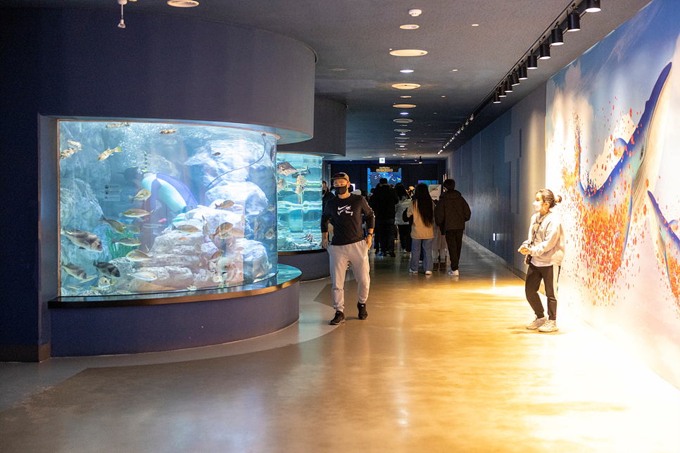 제주 아쿠아플라넷 할인 제주도 동쪽 사진 담기 좋은 곳