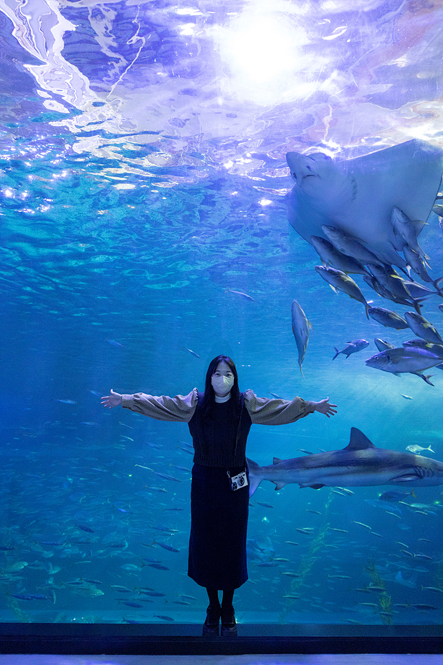 제주 아쿠아플라넷 할인 제주도 동쪽 사진 담기 좋은 곳