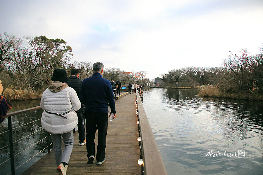 제주 에코랜드 제주도 동부권관광지 제주 조천