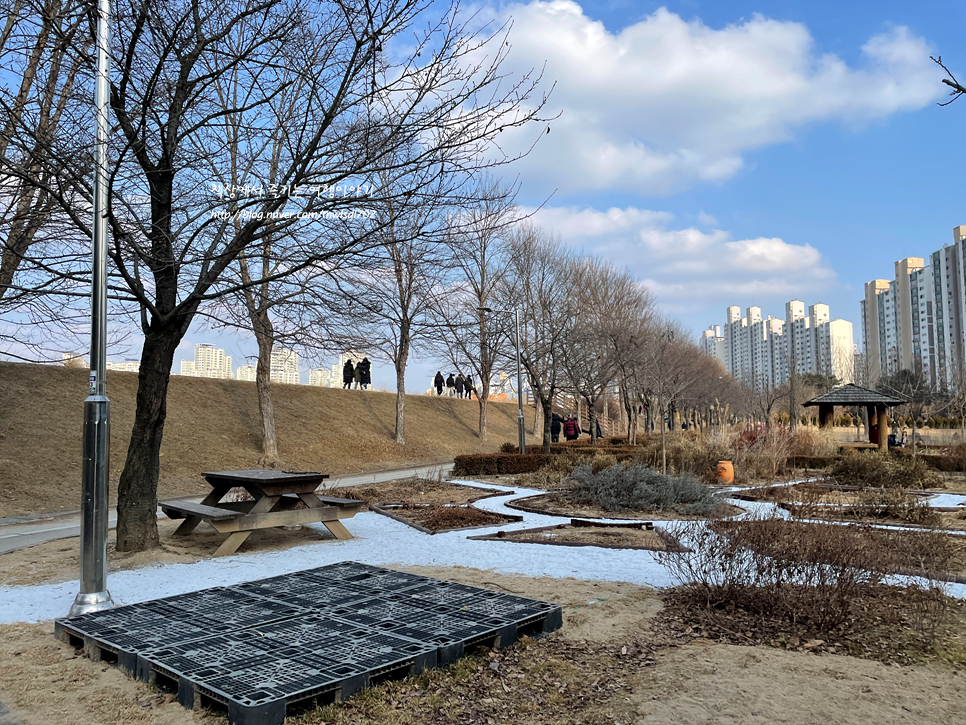 경기도 산책로 수원 일월저수지 호수공원 주말 나들이