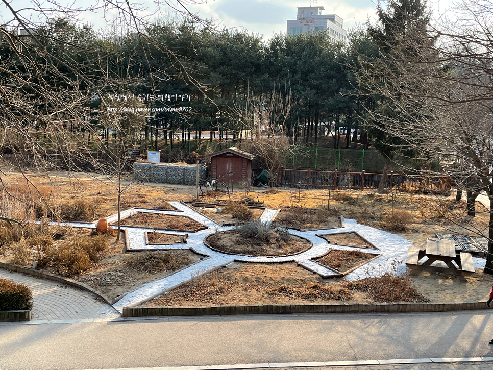 경기도 산책로 수원 일월저수지 호수공원 주말 나들이