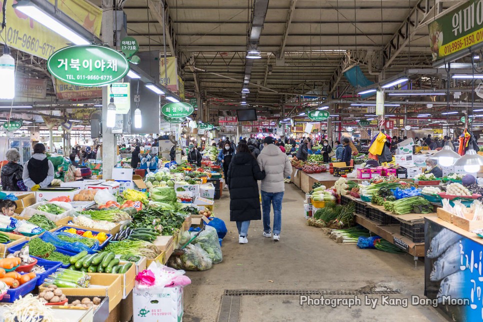 제주도 보름살기 여행코스 2주 먹거리 특산품 쇼핑몰 5일장 시장 제주 서귀포 오일장 향토오일시장