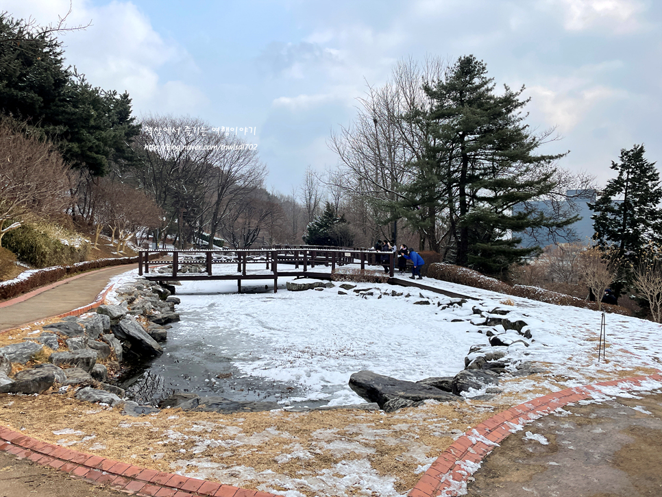 서울 남산공원 야외식물원 둘레길 산책로 서울공원추천