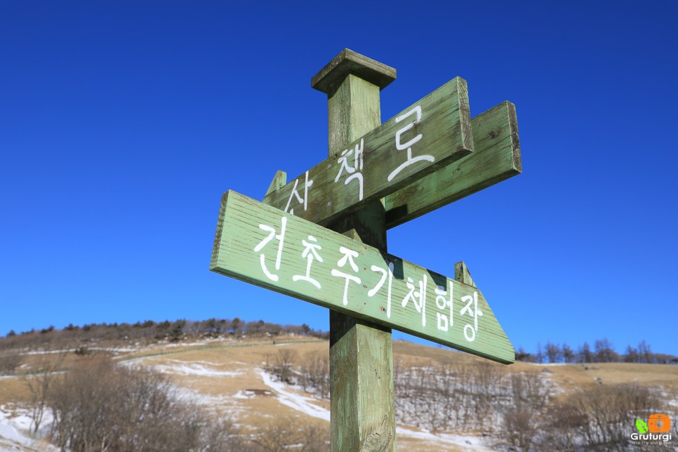 강원도 평창 가볼만한곳 양떼목장 포함 1박2일 여행