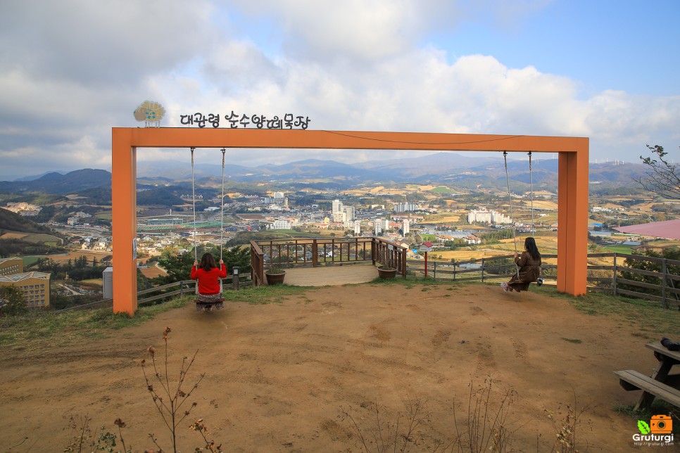 강원도 평창 가볼만한곳 양떼목장 포함 1박2일 여행