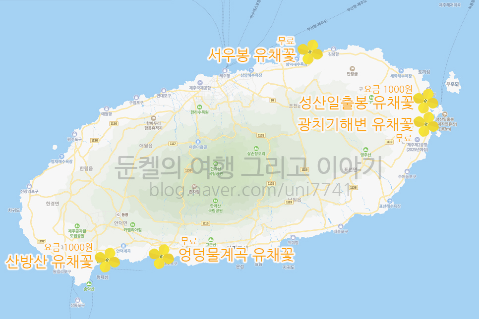 제주도 유채꽃 시기 노랗게 물드는 엉덩물계곡 산방산 외 제주 명소