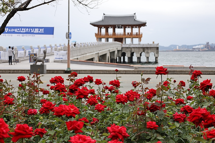 포항 여행코스 영일대 해수욕장 전망대 + 장미공원