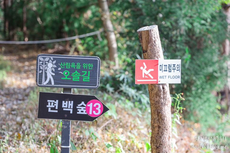 부산 기장 아홉산숲 입장료 산책코스 소요시간