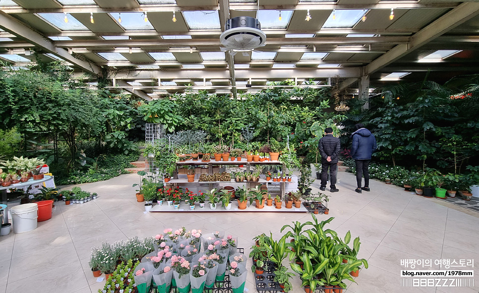 서울근교 파주가볼만한곳, 마장호수 양주 대형식물원 오랑주리카페