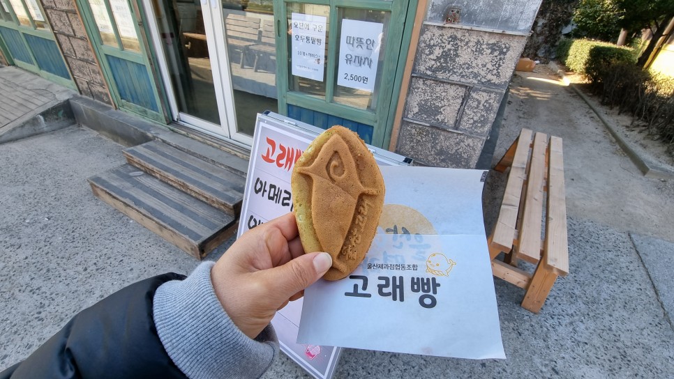 울산 여행 코스 볼거리 많은 관광지 울산 장생포 고래문화마을