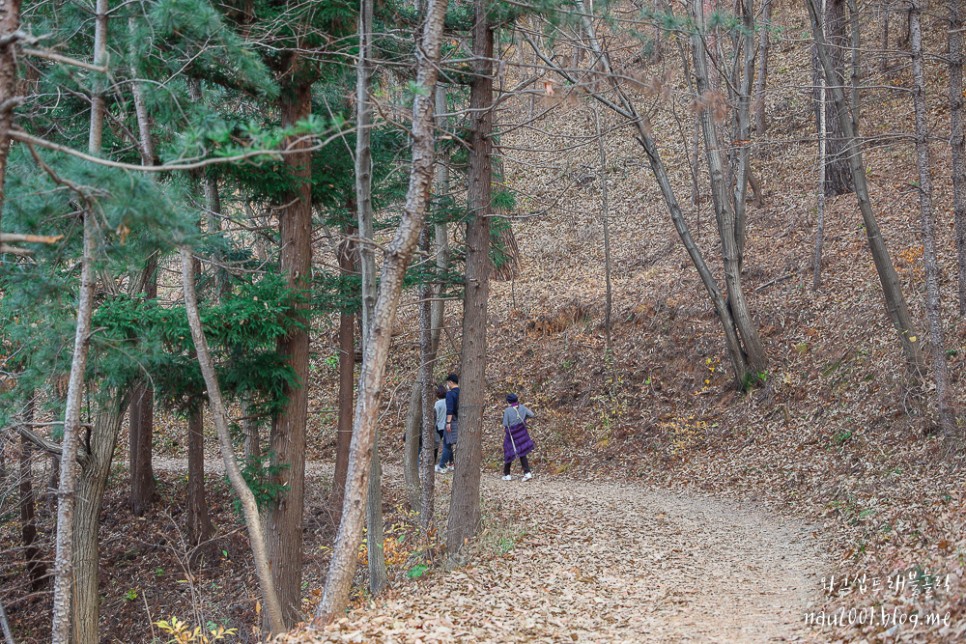 부산 기장 아홉산숲 입장료 산책코스 소요시간