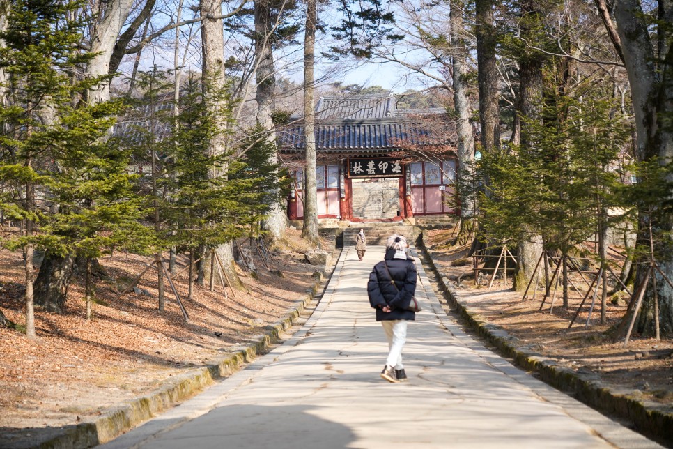 경남 가볼만한곳 합천 천불천탑 대구근교 드라이브 주말 나들이