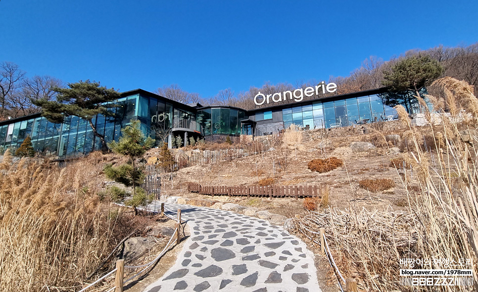 서울근교 파주가볼만한곳, 마장호수 양주 대형식물원 오랑주리카페