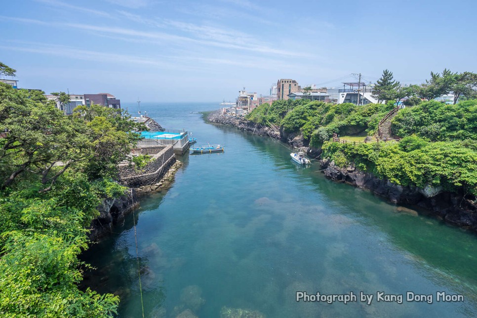 2월 제주도 여행 제주시 가볼만한곳 제주공항 근처 볼거리 용두암 닭머르해안길 제주 동문시장