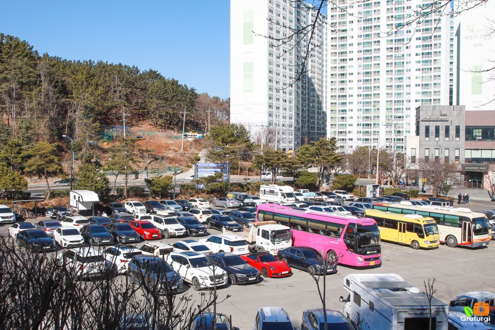 포항 스페이스워크 환호공원 핫플 포항 스카이워크