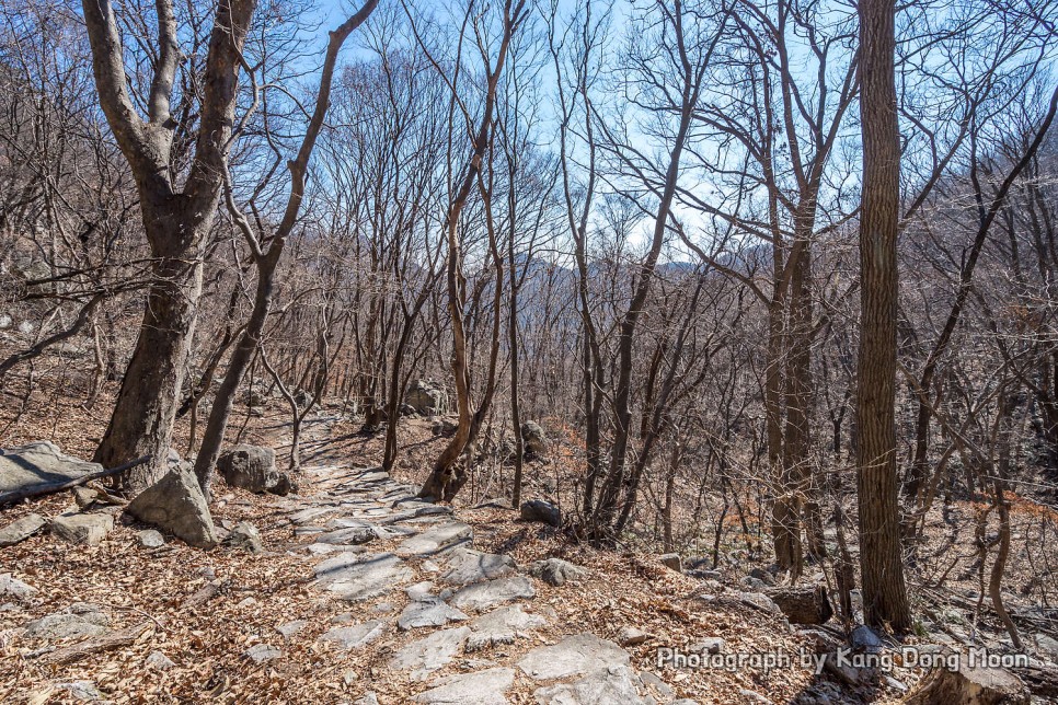 대전 근교 가볼만한곳 겨울 등산 하기 좋은산 추천 계룡산 국립공원 등산코스 공주 동학사