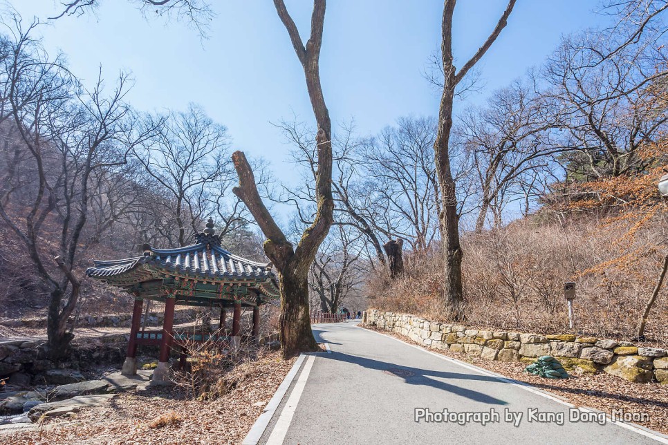 대전 근교 가볼만한곳 겨울 등산 하기 좋은산 추천 계룡산 국립공원 등산코스 공주 동학사