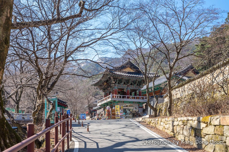 대전 근교 가볼만한곳 겨울 등산 하기 좋은산 추천 계룡산 국립공원 등산코스 공주 동학사