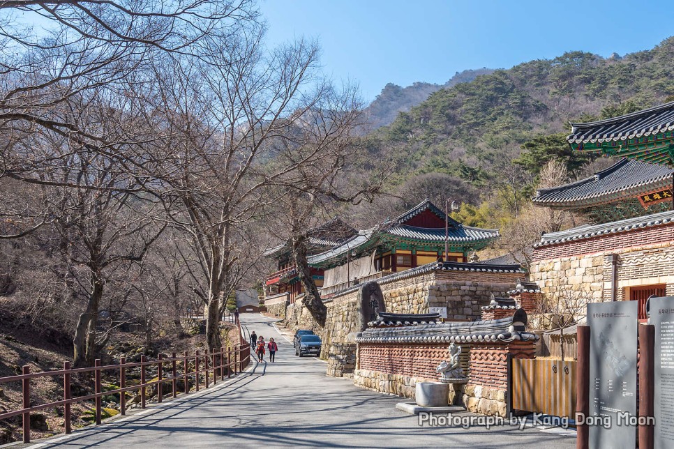 대전 근교 가볼만한곳 겨울 등산 하기 좋은산 추천 계룡산 국립공원 등산코스 공주 동학사