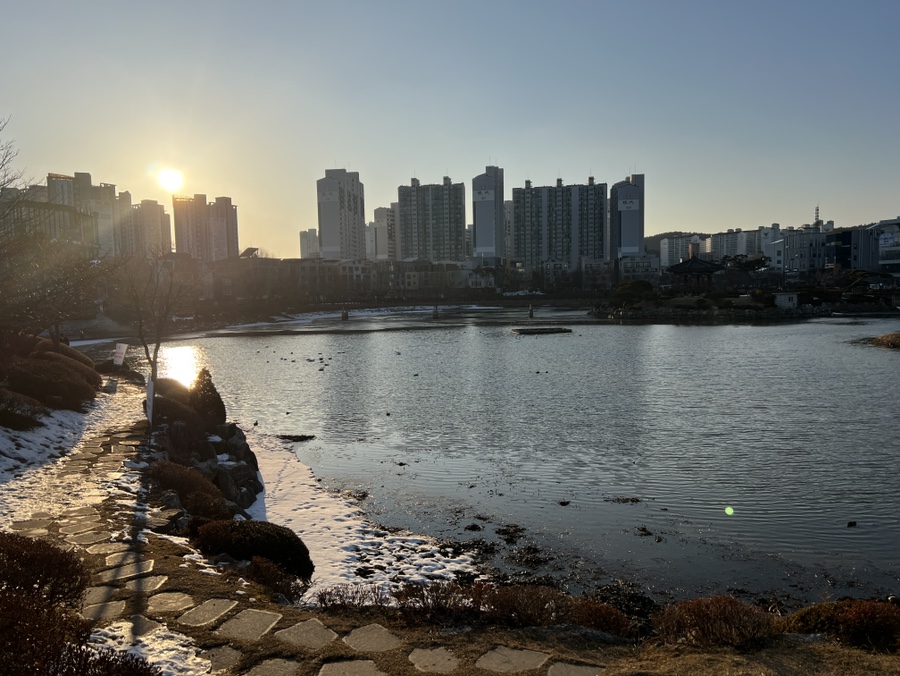 서산 가볼만한곳 중앙호수공원에 노랑부리저어새 출현! 카페 및 주차 정보