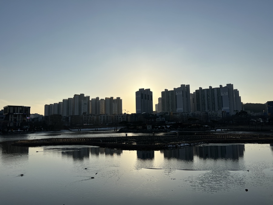 서산 가볼만한곳 중앙호수공원에 노랑부리저어새 출현! 카페 및 주차 정보