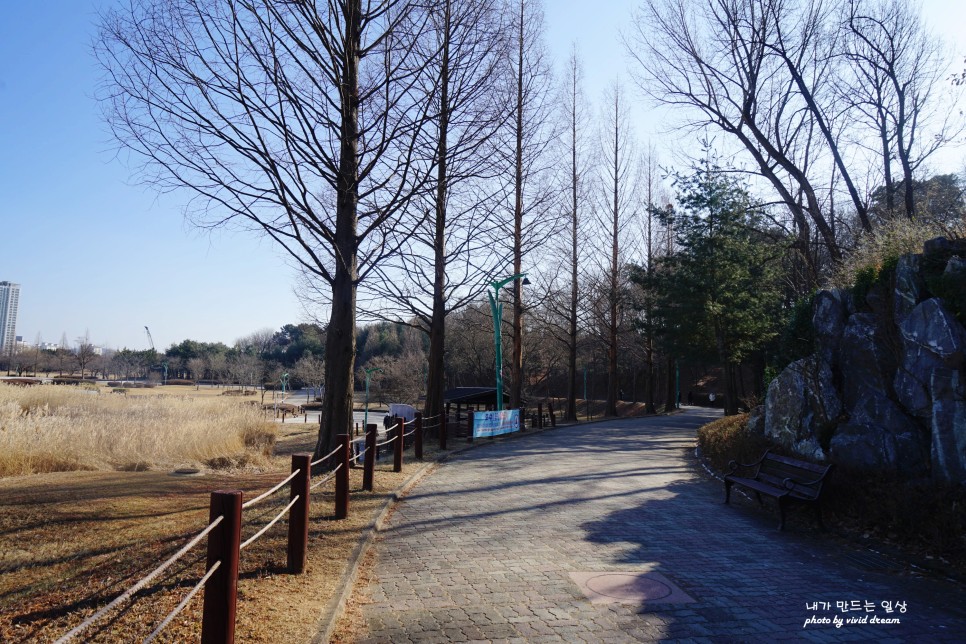 안산 가볼만한곳 산책하기 좋은 안산호수공원