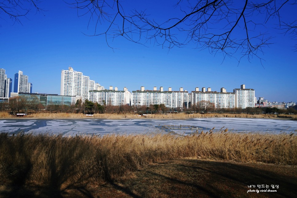 안산 가볼만한곳 산책하기 좋은 안산호수공원