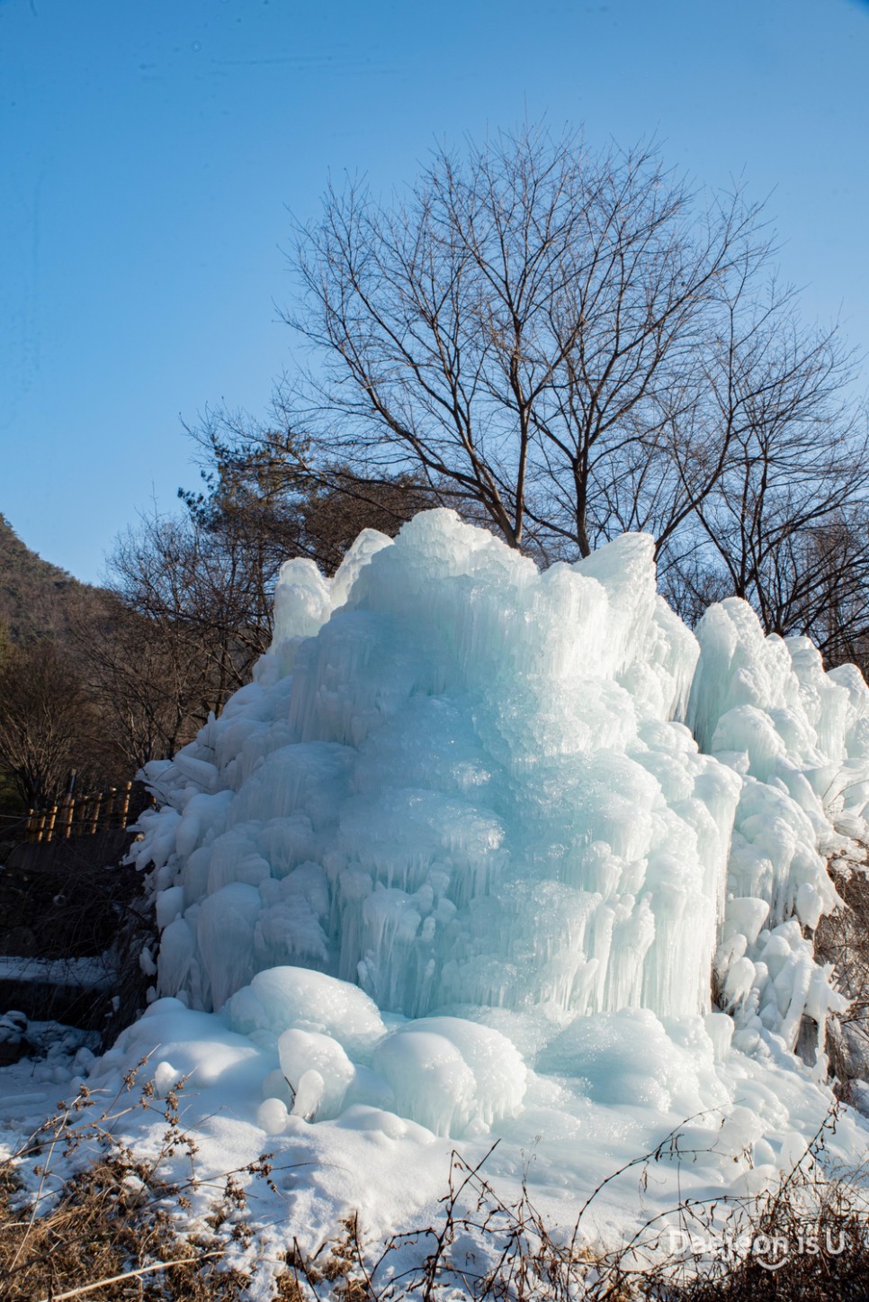 얼음왕국이 된 상소동 산림욕장의 아름다운 겨울 풍경