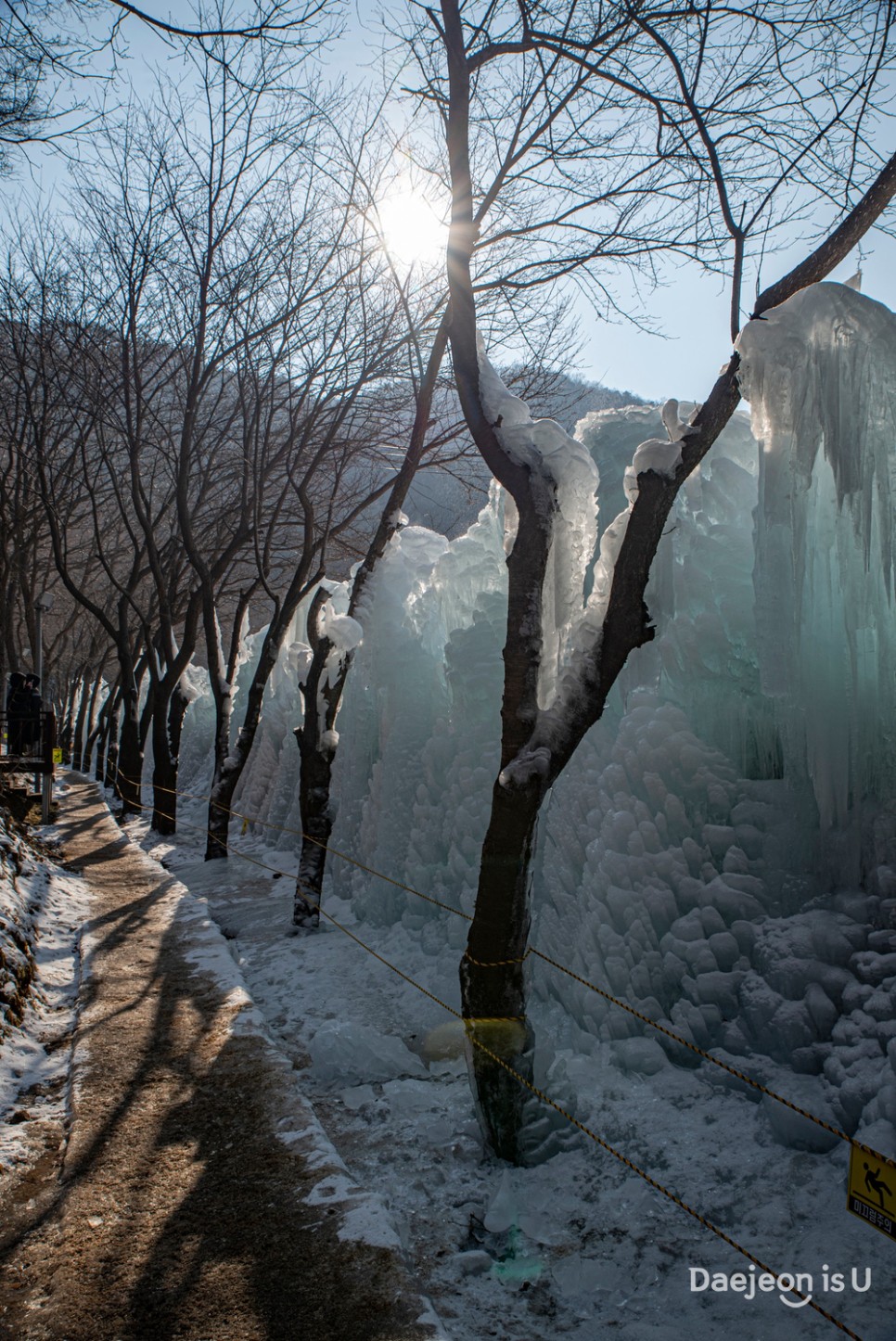 얼음왕국이 된 상소동 산림욕장의 아름다운 겨울 풍경